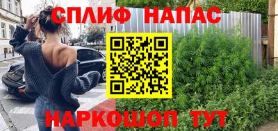 прущие грибы Рязань