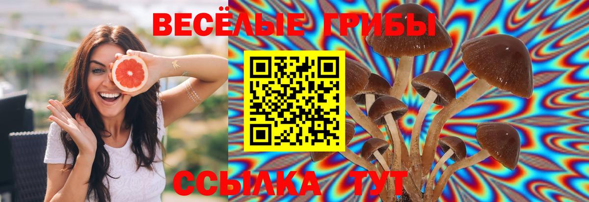 Семёнов  Галлюциногенные грибы мухоморы  Вход с VPN  Псилоцибиновые грибы Psilocybe 