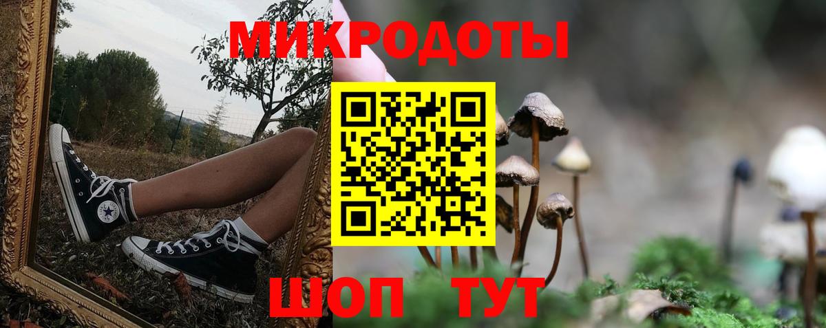 Псилоцибиновые грибы Psilocybine cubensis Семёнов